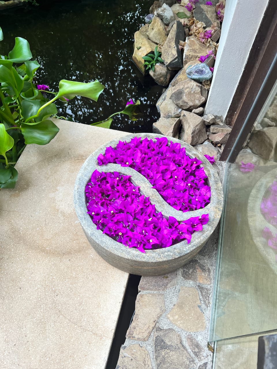 Bougainvillea yin yang flower bowl